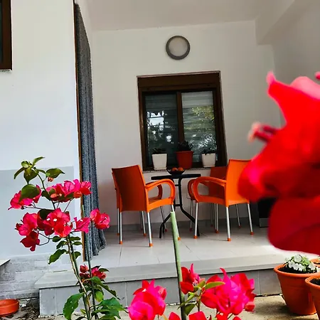 Sala Apartment